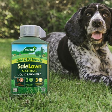See more information about the SafeLawn Liquid Natural Lawn Feed - 1 litre 100sqm