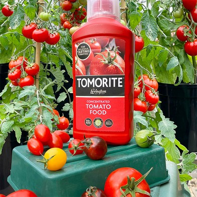 Product photograph of Levington Tomorite 1 2l Tomato Food from QD stores