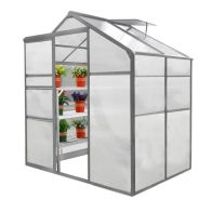 See more information about the Raven Crescive 6' x 4' Apex Greenhouse - Classic Polycarbonate