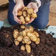 See more information about the Complete Patio Potato Top-up Kit