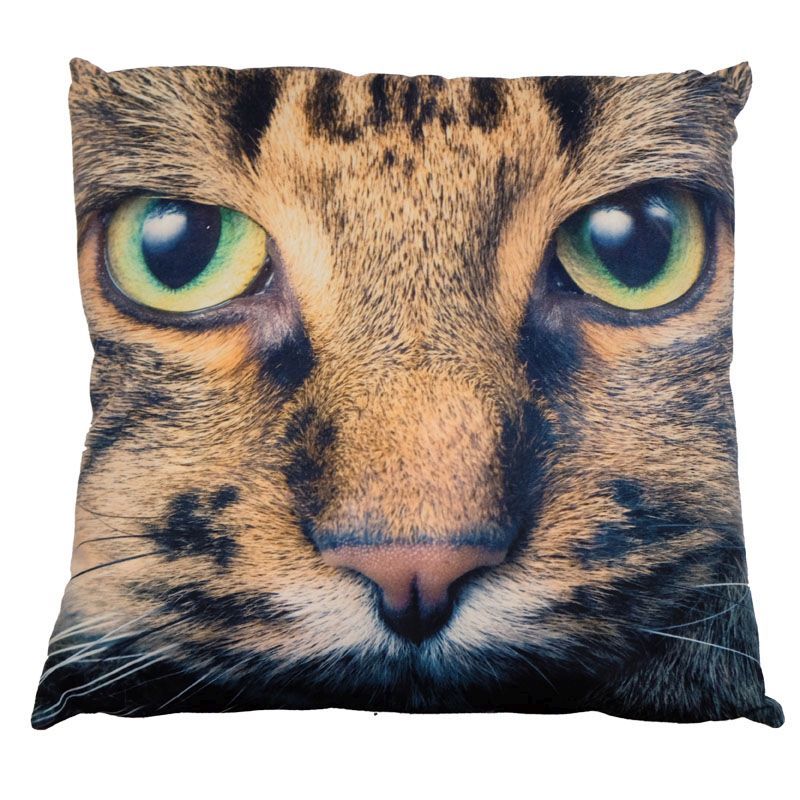 Photographic Animal Cushion 45 x 45cm (Tabby Cat)