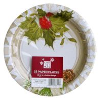 See more information about the Small Christmas Paper Plates 15 Pack - Holly Design