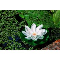 See more information about the White Lotus Solar Garden Light Ornament Decoration Multicolour LED - 28cm by Bright Garden