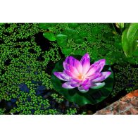 See more information about the Pink Lotus Solar Garden Light Ornament Decoration Multicolour LED - 28cm by Bright Garden