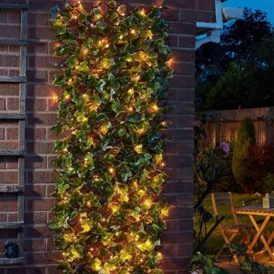 See more information about the Trellis Solar Garden Wall Light Decoration 50 Warm White LED - 180cm by Smart Solar