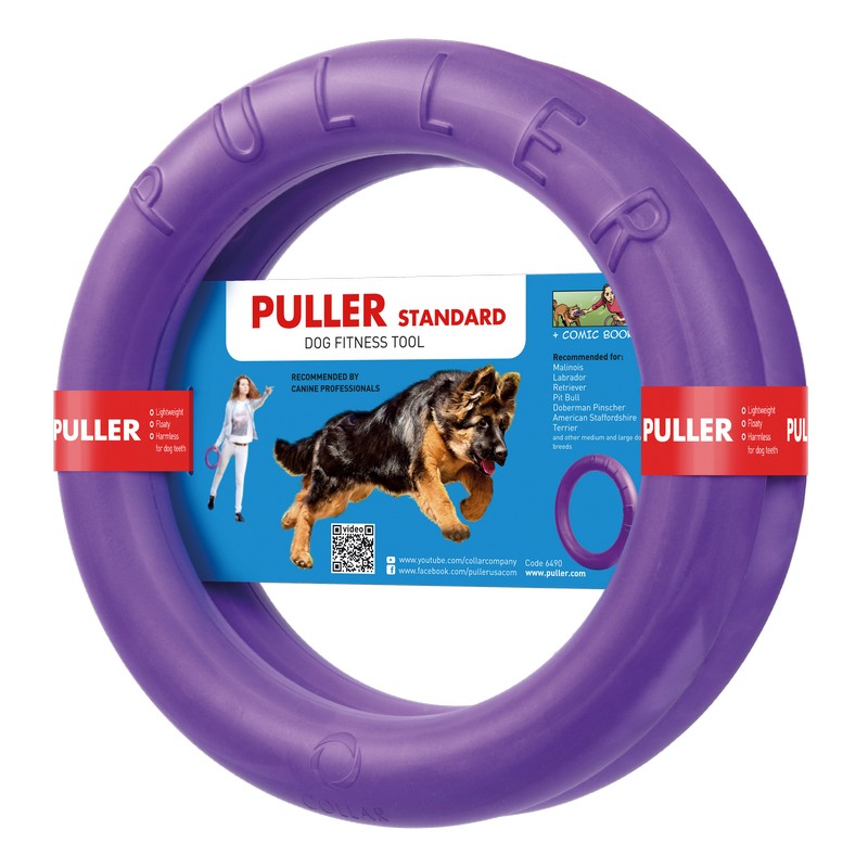 Medium Dog Frisbee Purple Plastic 28cm by PULLER
