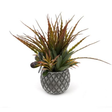 Product photograph of Succulents In Small Lattice Design Grey Pot from QD stores