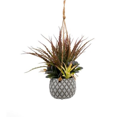 Product photograph of Hanging Succulents In Lattice Design Small Grey Pot from QD stores