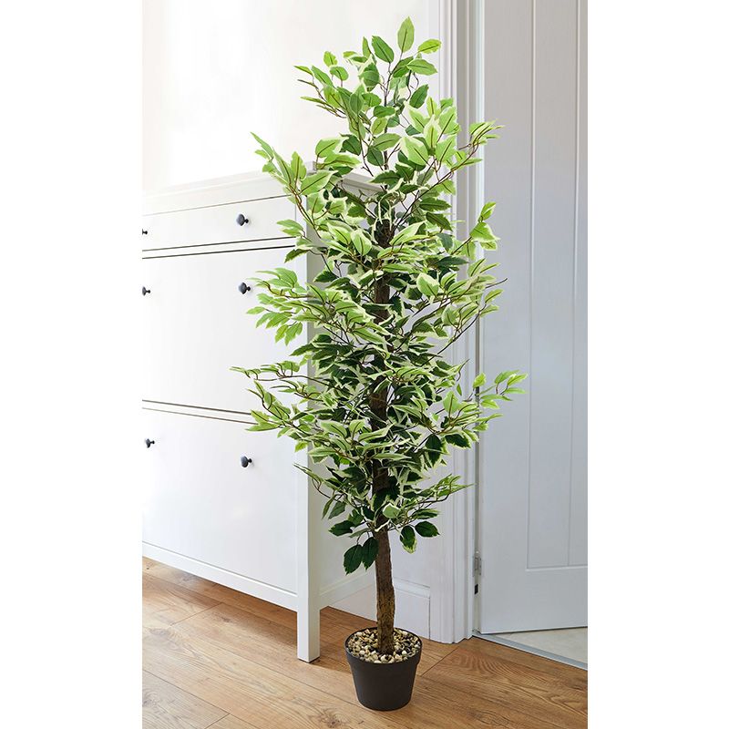 Ficus Artificial Tree - 156cm