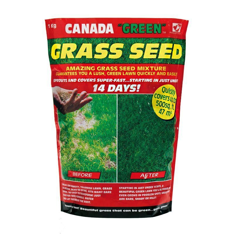 Canada Green Grass Seed 1Kg 47 Square Metres Coverage
