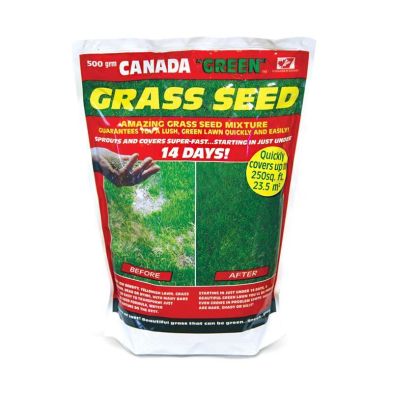 Product photograph of Canada Green Grass Seed 500g 23 Square Metres Coverage from QD stores