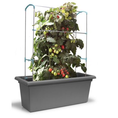 Product photograph of Gardenico Self-watering Mobile Living Wall Kit - 100cm - Stone Grey from QD stores