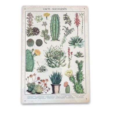 See more information about the Vintage Cacti & Succulents Sign Metal Wall Mounted - 42cm