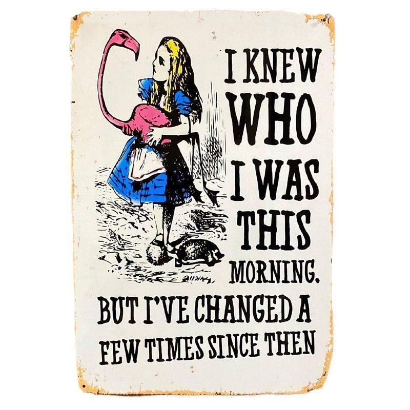 Alice in Wonderland I Knew Who I Was, But I've Changed Sign Metal Wall Mounted - 28cm