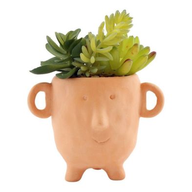 Product photograph of Face Faux Succulent Terracotta - 14cm from QD stores