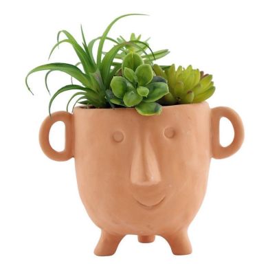 Product photograph of Face Faux Succulent Terracotta - 27cm from QD stores