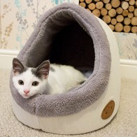 See more information about the Cat Igloo Cream Faux Fur 47cm by Banbury