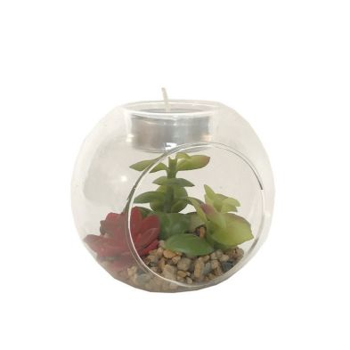 See more information about the Terrarium Tealight Holder Glass - 10cm