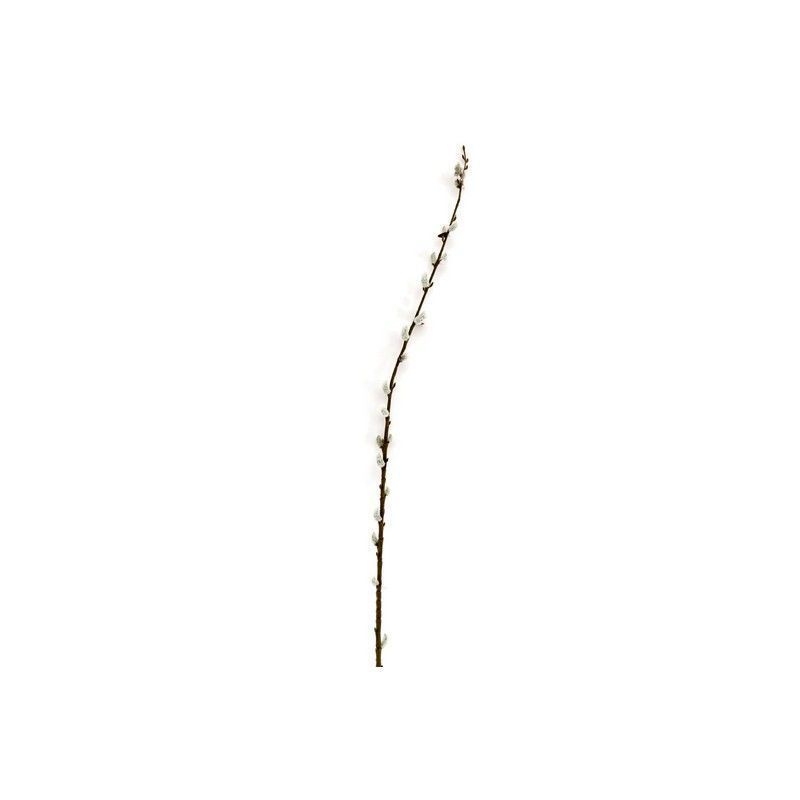 Pussy Willow Artificial Plant Green