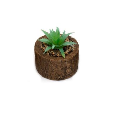 Product photograph of Faux Succulent Wood - 8cm from QD stores