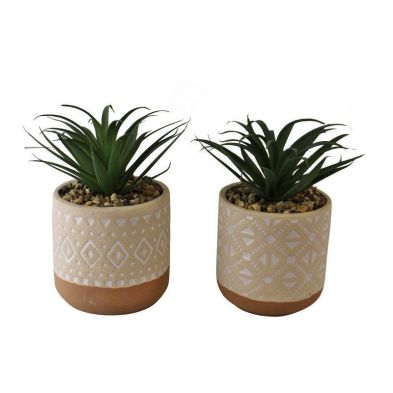 Product photograph of 2x Faux Succulent Ceramic Light Brown - 11cm from QD stores