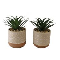 See more information about the 2x Faux Succulent Ceramic Light Brown - 11cm