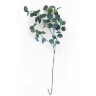 See more information about the Blue Eucalyptus Stem 90cm