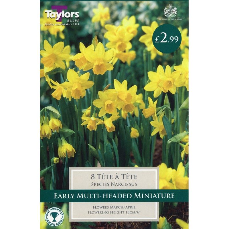 Taylors Narcissi Tete A Tete Daffodils 8 Bulb Pack