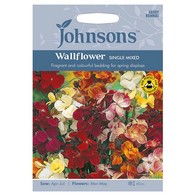 See more information about the Johnsons Wallflower Single Mixed Seeds